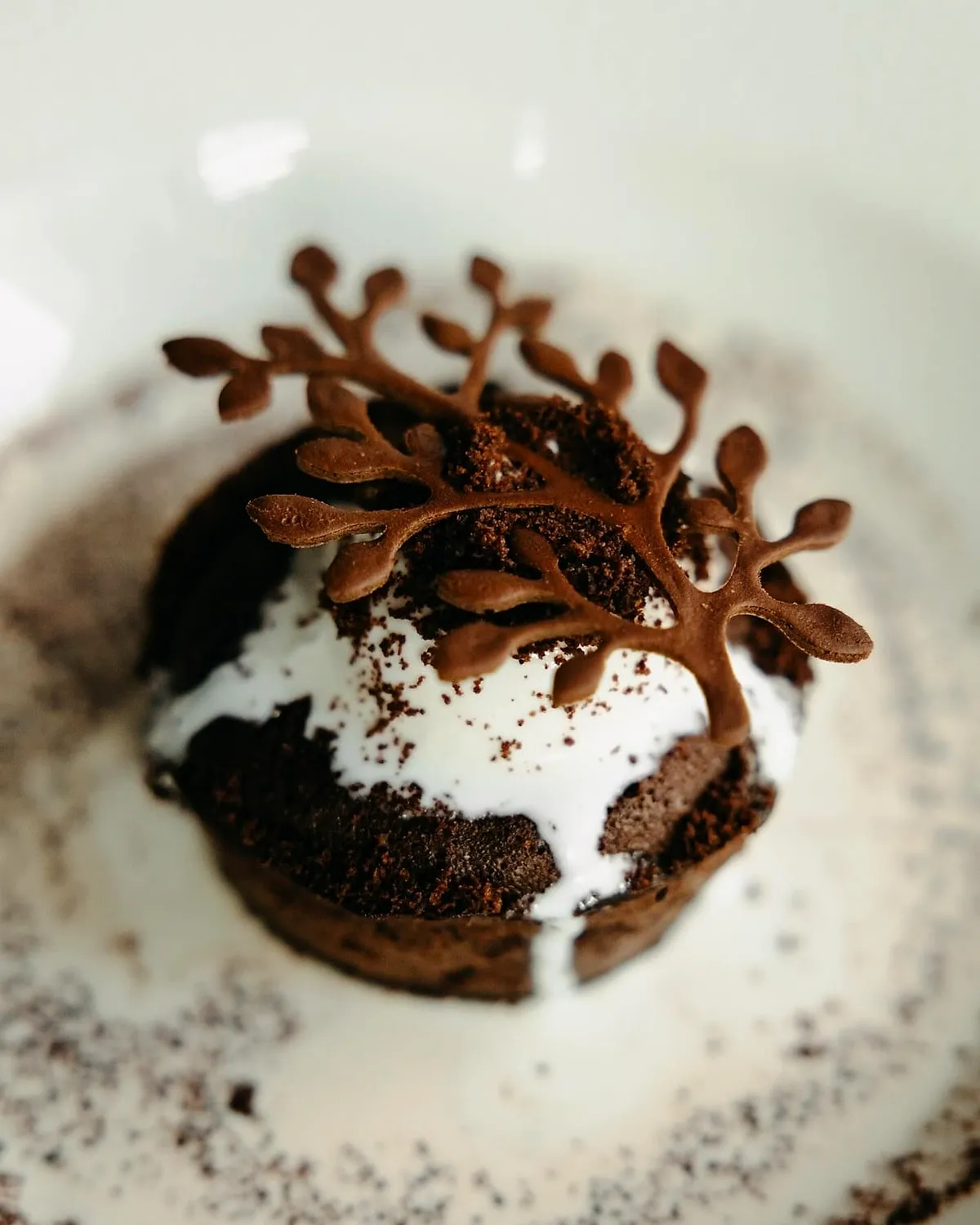 Gâteau de ciocolată