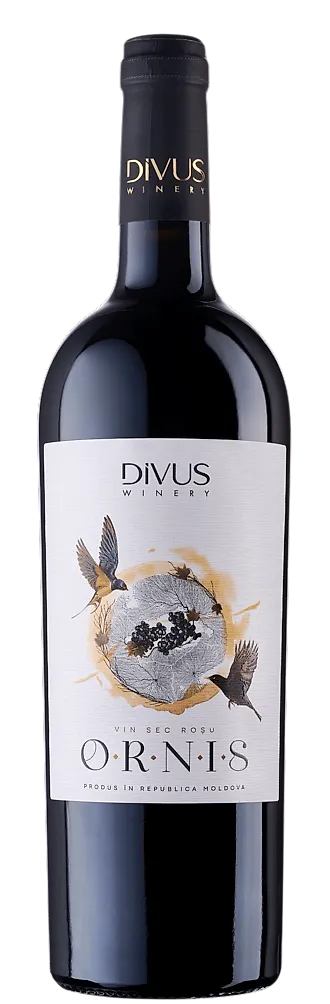 Divus Ornis